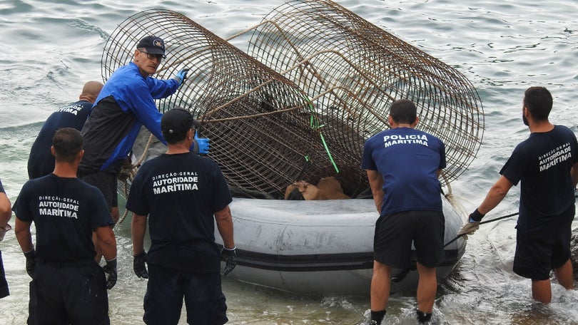 Polícia Marítima recebe material para a delegação nas Selvagens