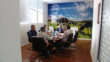 Imagem de PS alerta para atrasos no pagamento de apoios aos agricultores