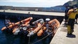 Imagem de SANAS Madeira quer ampliar rede de estações de salvamento no arquipélago