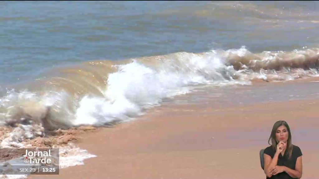 Contaminação microbiológica condiciona praias do Porto