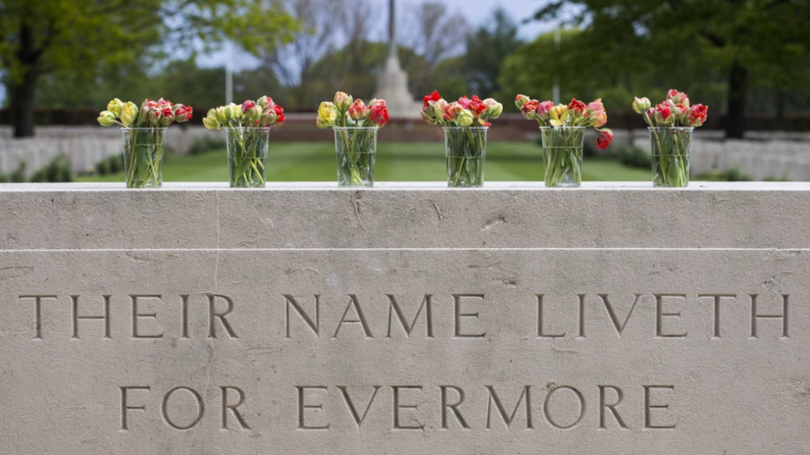 Imagem de Covid-19: Estados Unidos registam 103.389 mortes