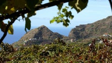 Imagem de Pode faltar água para a agricultura na Madeira