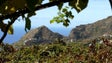 Pode faltar água para a agricultura na Madeira