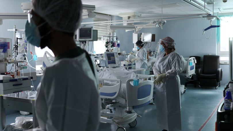 Imagem de Médicos intensivistas formados de raiz
