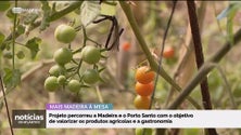 Investigadores do «Mais Madeira à Mesa» defendem pagamento do preço justo aos agricultores (vídeo)