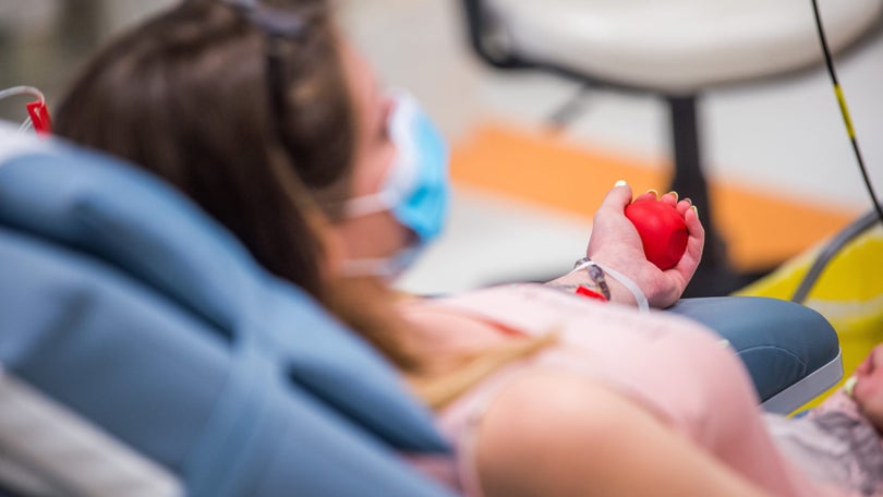 Federação apela à dádiva para reforçar reservas de sangue antes das férias