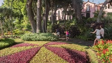 Imagem de Governo da Madeira aprova apoios à Segurança Social