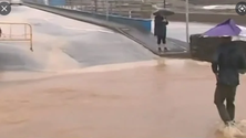 Imagem de Canárias tiveram mais de 500 voos cancelados