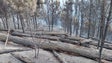 Imagem de «Freguesias da Ponta do Pargo e dos Prazeres tiveram situações muito graves» (áudio)