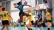 Imagem de Madeira Andebol SAD regressa aos treinos na próxima segunda-feira