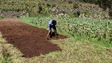 Imagem de Agricultores isentos do pagamento de algumas taxas em 2023