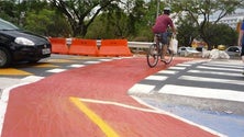 Imagem de Ciclovia até ao Mercado dos Lavradores construída no próximo ano