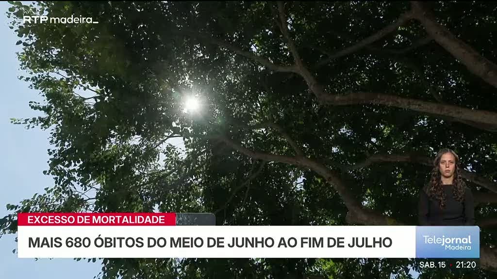 Calor provoca aumento da mortalidade, mas números são inferiores aos de 2025 (vídeo)