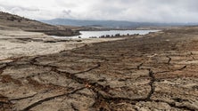 Imagem de Mais de 95% do país em situação de seca severa ou extrema