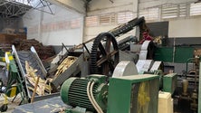 Imagem de Fábrica produziu 4 mil quilos de mel biológico (áudio)