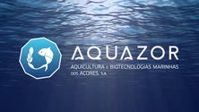 Imagem de Açores têm condições para aquacultura (Vídeo)