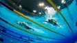 Torneio Vicente-Franco reúne cerca de 200 nadadores na Penteada