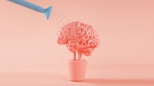 Imagem de Maior procura pelas consultas de saúde mental e psiquiatria (áudio)