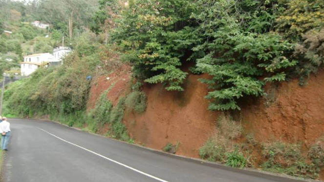 Imagem de Governo Regional investe mais de um milhão na estabilização de talude no Funchal