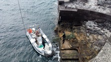 Imagem de Vigilantes da Natureza detetam pesca ilegal na Reserva Natural do Garajau