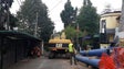 Reabertura dos Carreiros do Monte adiada para 10 de agosto, devido a obras  na estrada (Vídeo)