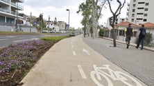 Imagem de Funchal vai construir ciclovia entre a Praia Formosa e o Mercado dos Lavradores (Áudio)