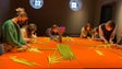 Museu promove workshop de confeção palmitos (vídeo)