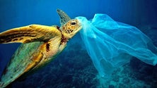 Imagem de Comissão Europeia canaliza 300 milhões de euros para a limpeza dos oceanos
