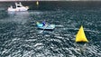Imagem de Baía do Funchal voltou a ser palco da regata de canoas tradicionais (Vídeo)