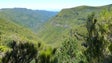Imagem de Há uma nova associação ambientalista na Madeira (vídeo)