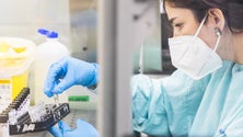 Imagem de Madeira alargou a rede de laboratórios para realizar teste à Covid