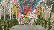 Imagem de Festa da Senhora da Graça regressa dois anos depois (vídeo)