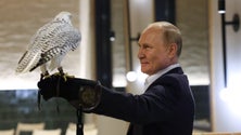 Imagem de Putin nega que Rússia use energia como «arma» contra Europa