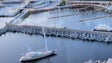 Imagem de Projeto da Marina do Funchal apresentado