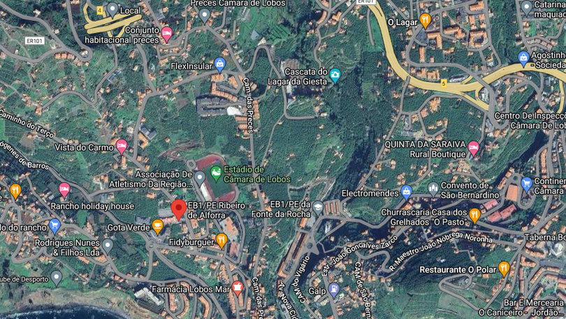 Imagem de Bombeiros de Câmara de Lobos combateram incêndio perto de casas