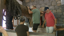Imagem de Museu do Vinho e da Vinha recria pisa da uva (vídeo)