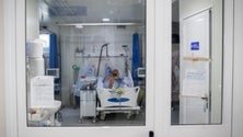 Imagem de Mais 841 casos e oito mortes