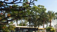 Imagem de Trabalhadores da Horários do Funchal aceitam aumento de salário de 5,1 por cento (áudio)