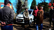 Imagem de Governo está a requalificar parque florestal das Queimadas