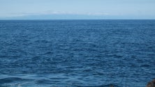 Imagem de Da Terceira ao Faial em canoa (Vídeo e áudio)