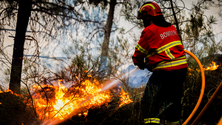 Imagem de GNR detém suspeito de provocar fogo após fazer queima para derreter cobre