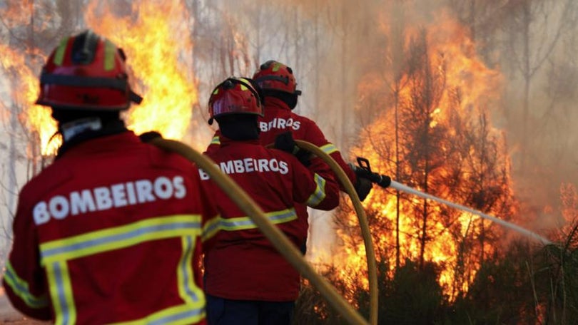 Incêndio ativo no Jardim da Serra