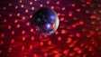 Imagem de Bares e discotecas reabrem no Continente