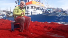 Imagem de Pescadores pedem testes (vídeo)