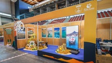 Imagem de Expo Porto Santo terá 49 empresas participantes (áudio)
