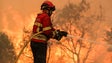 Imagem de Incêndios: Em minutos, fogo cercou aldeia do concelho de Ansião