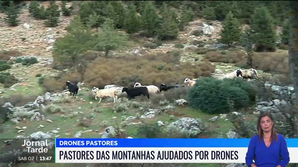 Projeto europeu está a usar drones para optimizar a produção de gado, agricultura e recursos florestais