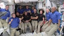 Imagem de Alface transgénica pode vir a ajudar a evitar perda de massa óssea em astronautas