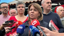 Imagem de Catarina critica a estratégia do governo para a habitação (áudio)