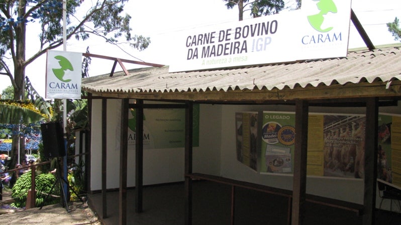 Imagem de Madeira injeta meio milhão de euros no centro de abate regional e aumenta capital social